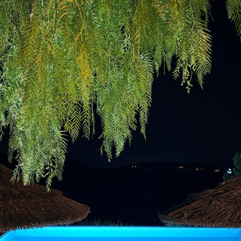 San Corrado Suite - Appartamento - 47