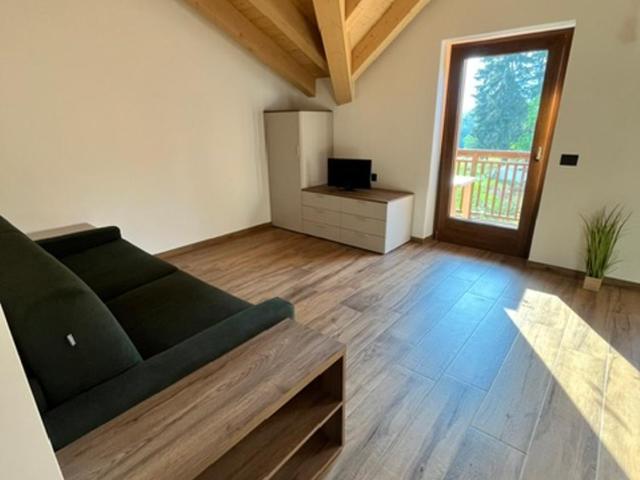 Alpin Haus - Monolocale Standard - 2