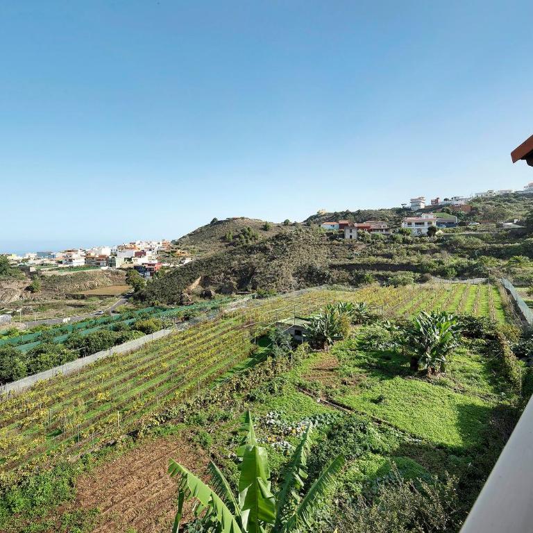 Apartamento Tily - Casa con 1 dormitorio - 25