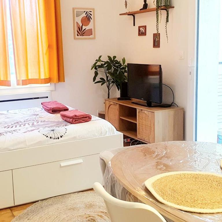 Studio au calme vue montagne "Petit Tibet" - Appartement 1 Chambre - 3