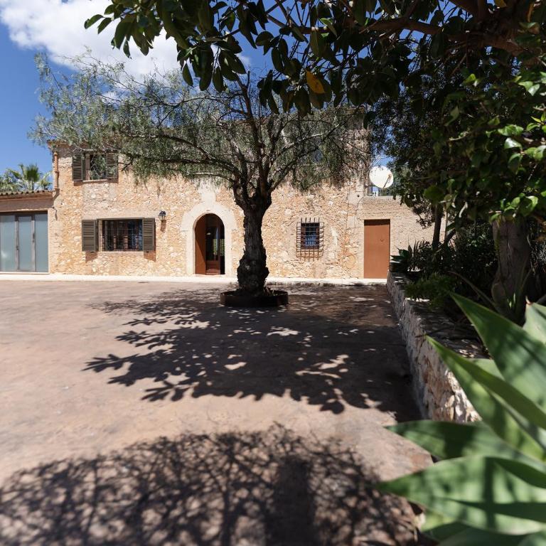 Can Pere Xine, Encanto cerca de Cala Mondragó - Chalet de 3 dormitorios - 48