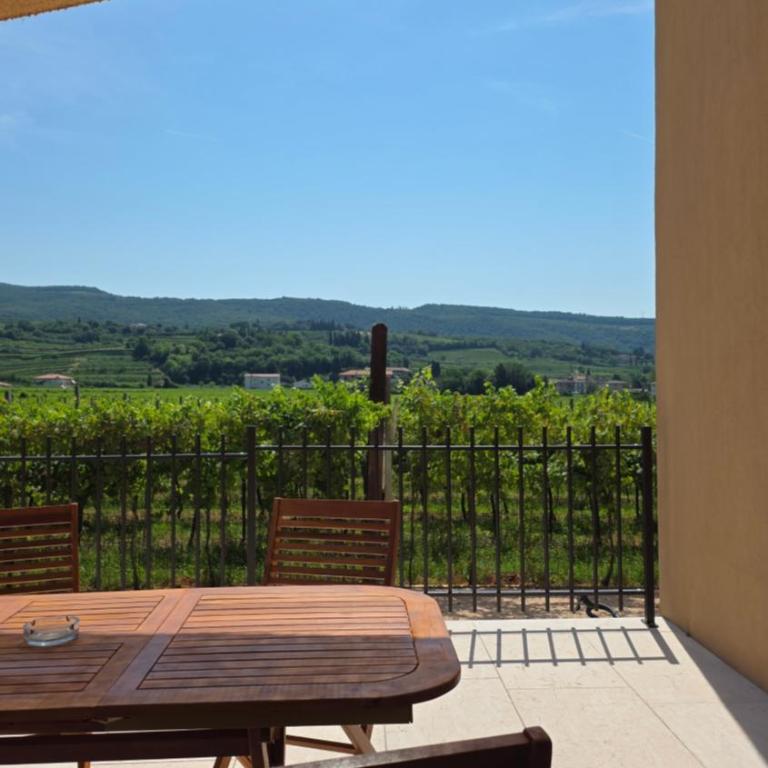 Agriturismo Igino - Camere fra Vigneti della Valpolicella - Monolocale con Terrazza - 15