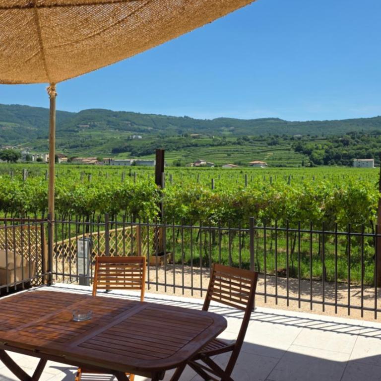 Agriturismo Igino - Camere fra Vigneti della Valpolicella - Monolocale con Terrazza - 16