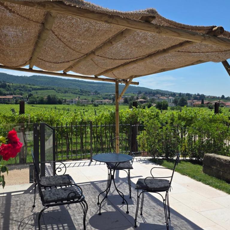 Agriturismo Igino - Camere fra Vigneti della Valpolicella - Camera Matrimoniale con Accesso Disabili - 2