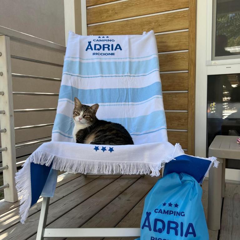 Camping Adria Riccione - Mobile Home Pet Friendly - 9