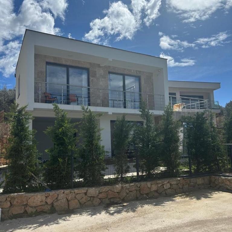 Villa Tri masline - Vila sa 3 Spavaće Sobe - 4