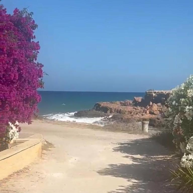 Casita Eliisa- sea views, close to the beach, pool, La Mata - Appartement 3 Chambres - 21