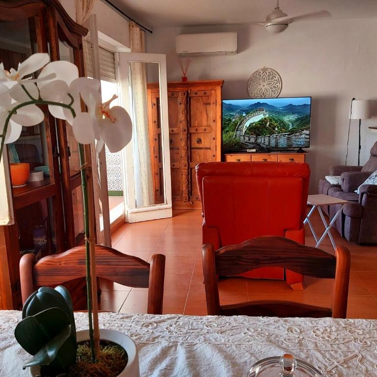 Armonía - Apartamento de 2 dormitorios - 6