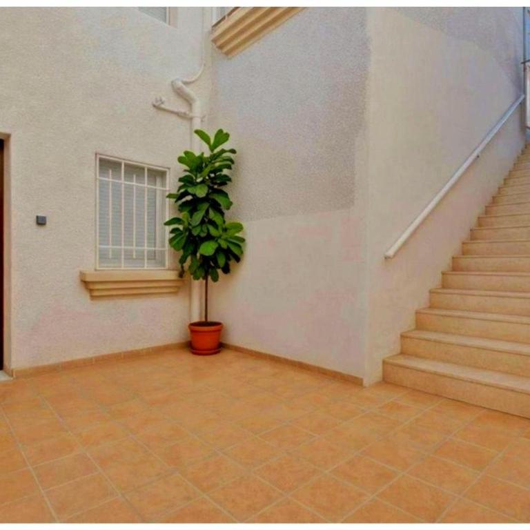 Armonía - Apartamento de 2 dormitorios - 21