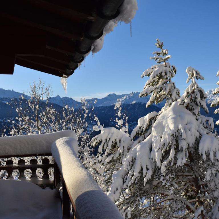 Chalet Dix loups a Anzere avec vue sur les Alpes - Chalet - 21