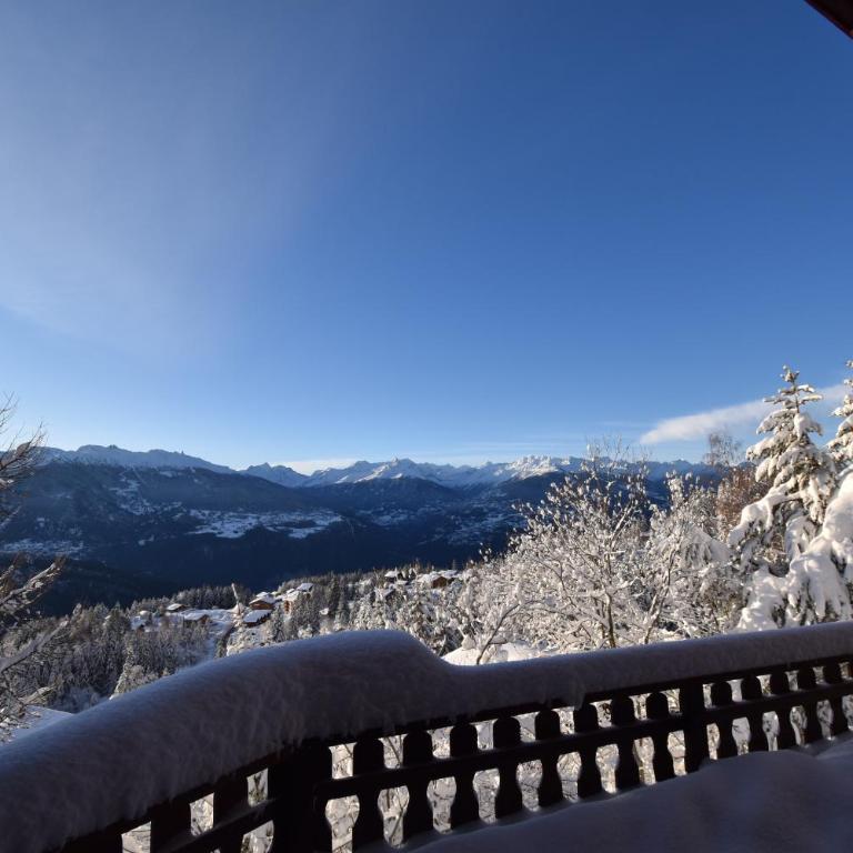 Chalet Dix loups a Anzere avec vue sur les Alpes - Chalet - 22