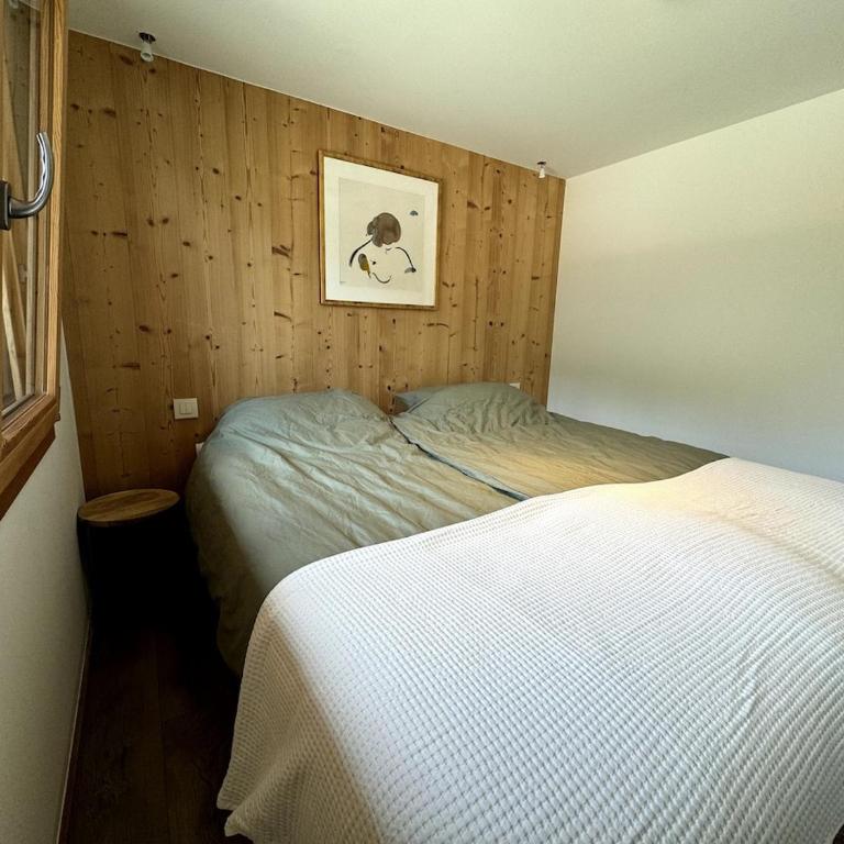 Chatel 3 bedroom, ski-in ski-out Bois Colombes - Appartement 3 Chambres - 28
