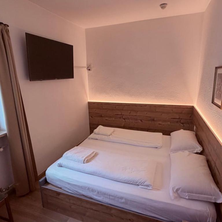 Hotel Regina Delle Dolomiti - Camera Economy Matrimoniale/Doppia con Letti Singoli - 4