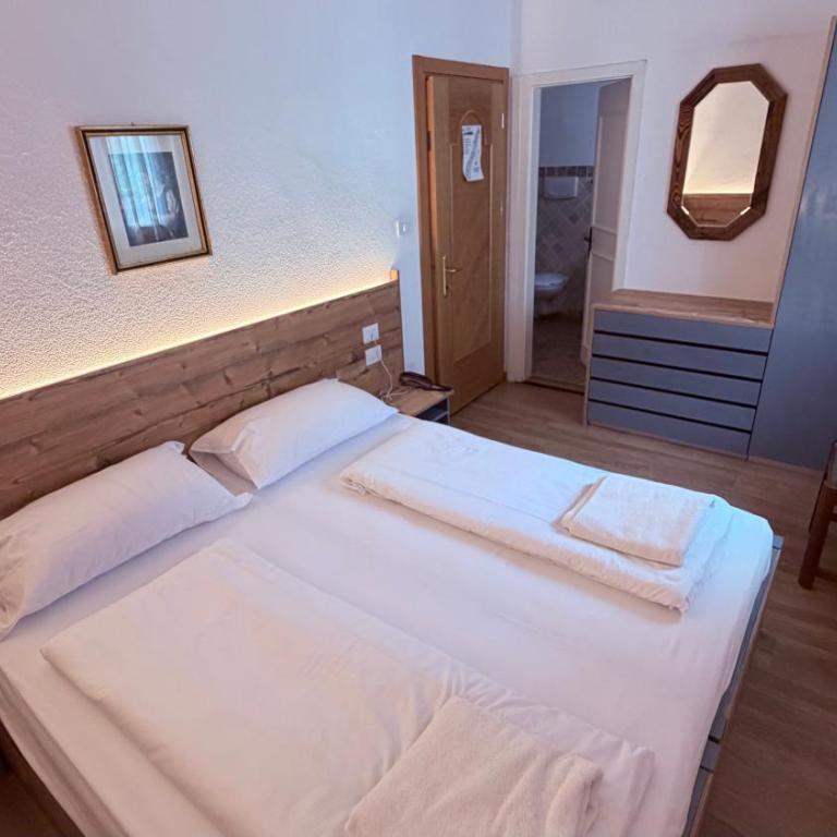 Hotel Regina Delle Dolomiti - Camera Economy Matrimoniale/Doppia con Letti Singoli - 5