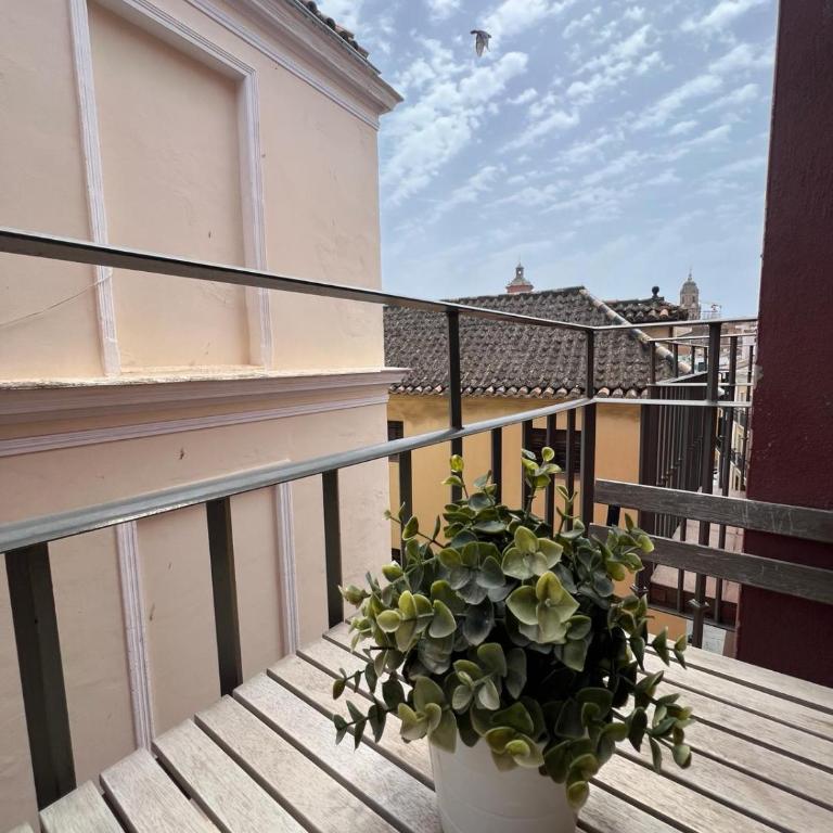 Carretería I & old town by ELE Apartments - Apartamento de 1 dormitorio - 5