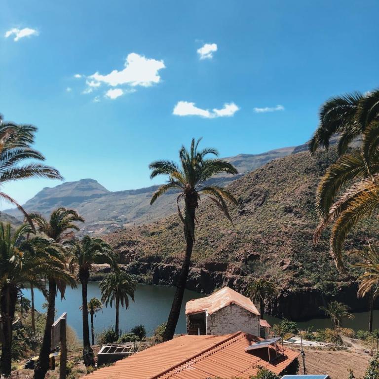 Finca Los Tanquillos Rural House with pool in Ayagaures Gran Canaria - Villa con piscina privada - 23