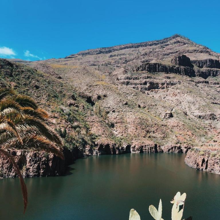 Finca Los Tanquillos Rural House with pool in Ayagaures Gran Canaria - Villa con piscina privada - 17