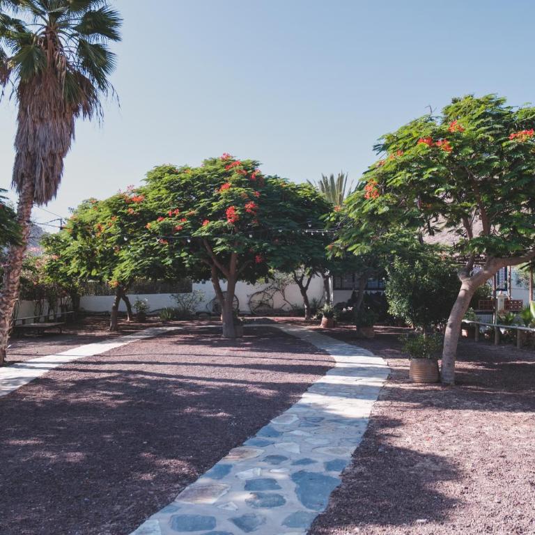 Finca Los Tanquillos Rural House with pool in Ayagaures Gran Canaria - Villa con piscina privada - 27
