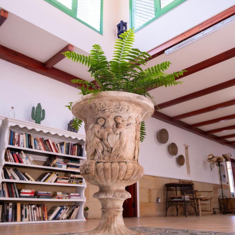 Finca Los Tanquillos Rural House with pool in Ayagaures Gran Canaria - Villa con piscina privada - 33