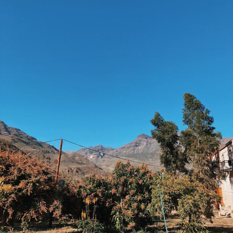 Finca Los Tanquillos Rural House with pool in Ayagaures Gran Canaria - Villa con piscina privada - 37