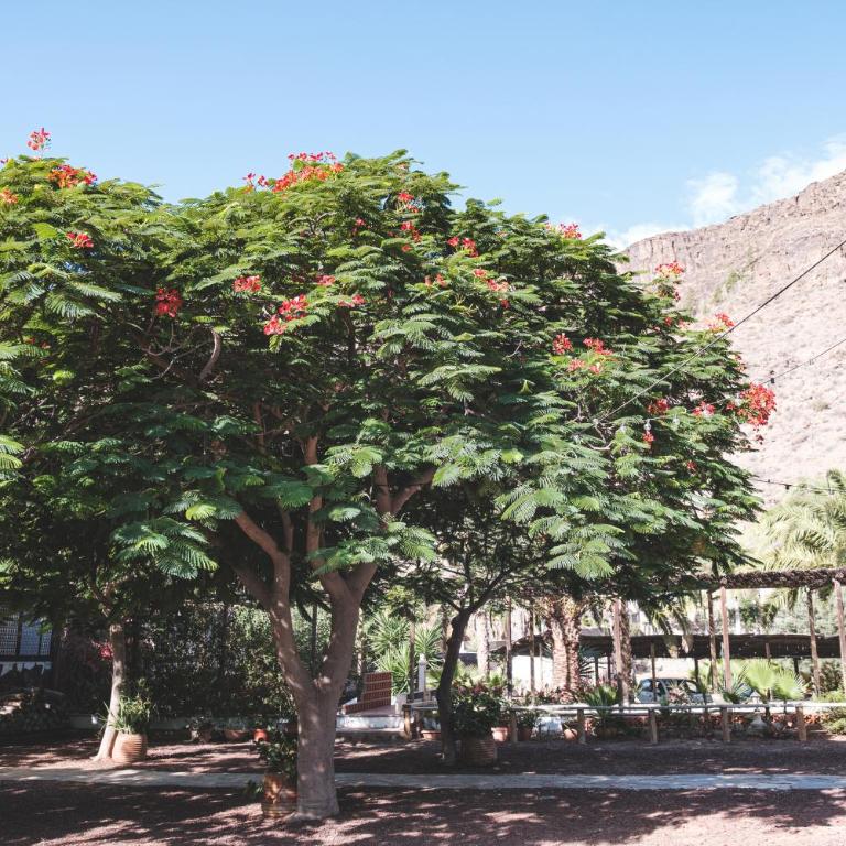 Finca Los Tanquillos Rural House with pool in Ayagaures Gran Canaria - Villa con piscina privada - 52