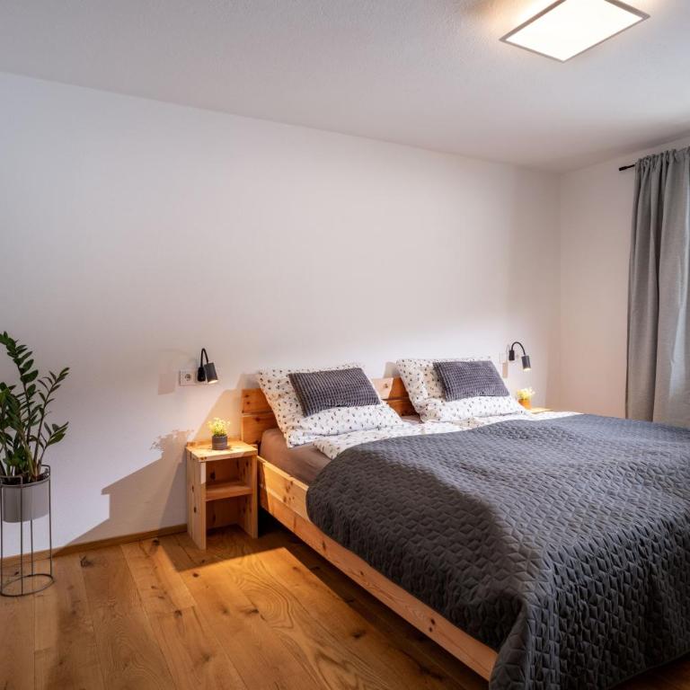 Appartement Rehlein - Apartment mit 2 Schlafzimmern und Dusche - 8