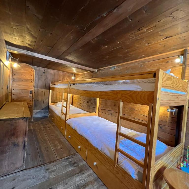 Appt 8 pers vue Aravis - Ski aux pieds - Chalet - 3