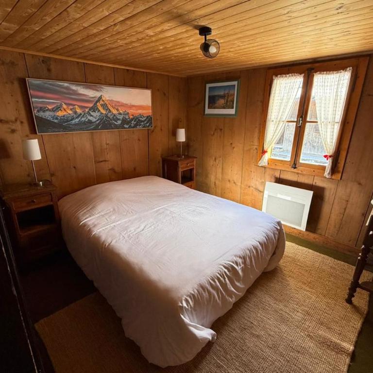 Appt 8 pers vue Aravis - Ski aux pieds - Chalet - 4