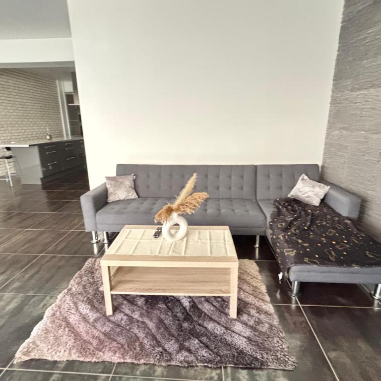 Grand loft wifi Metz 6 personnes - Appartement 1 Chambre - 8