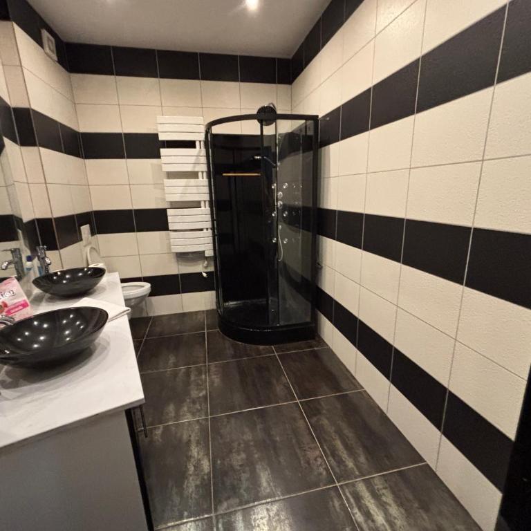 Grand loft wifi Metz 6 personnes - Appartement 1 Chambre - 26