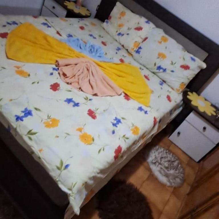 Mizo Apartman - Apartman sa 2 Spavaće Sobe - 5