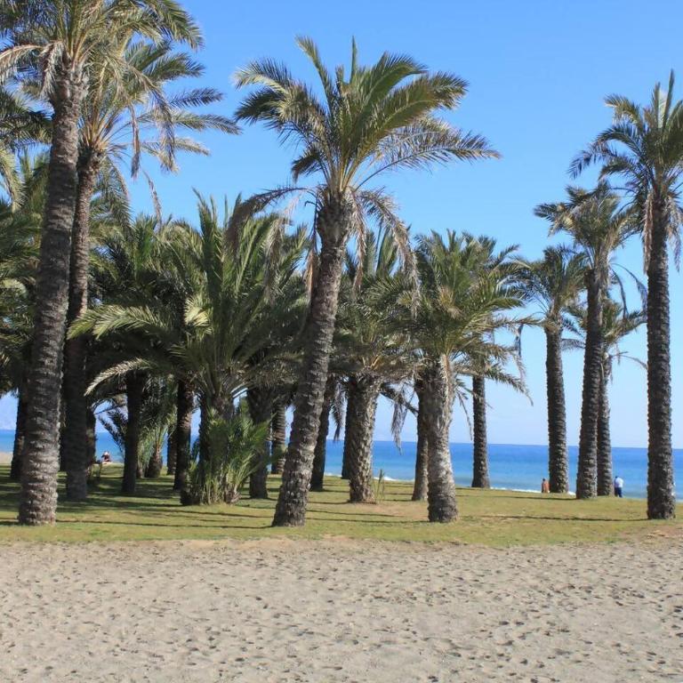 Premium Alamos Gran Terraza 200 metros de la playa - Casa de 2 dormitorios - 24