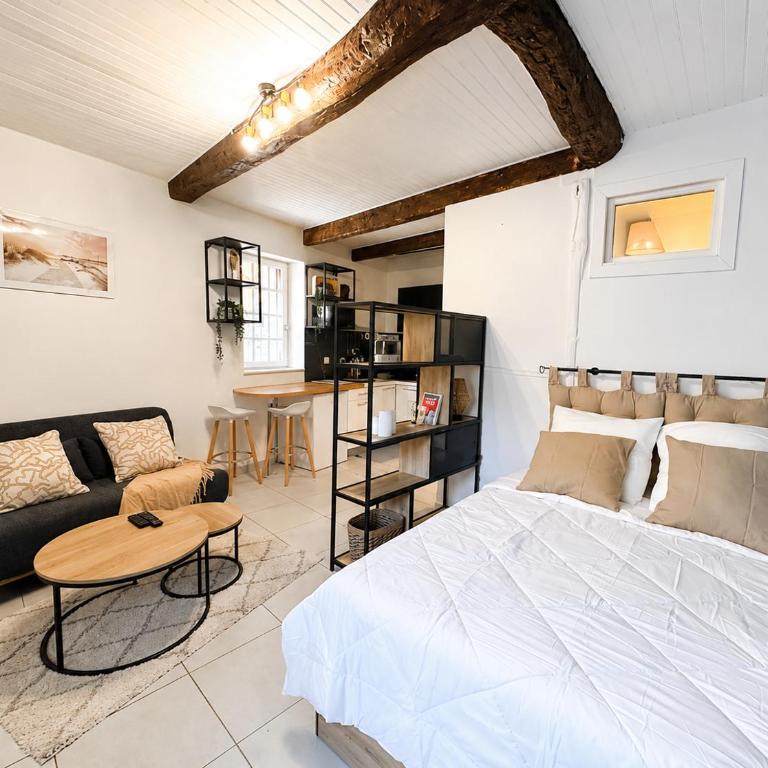 "Le Viala" Studio climatisé - Centre historique - Arrivée autonome - One-Bedroom Apartment - 6