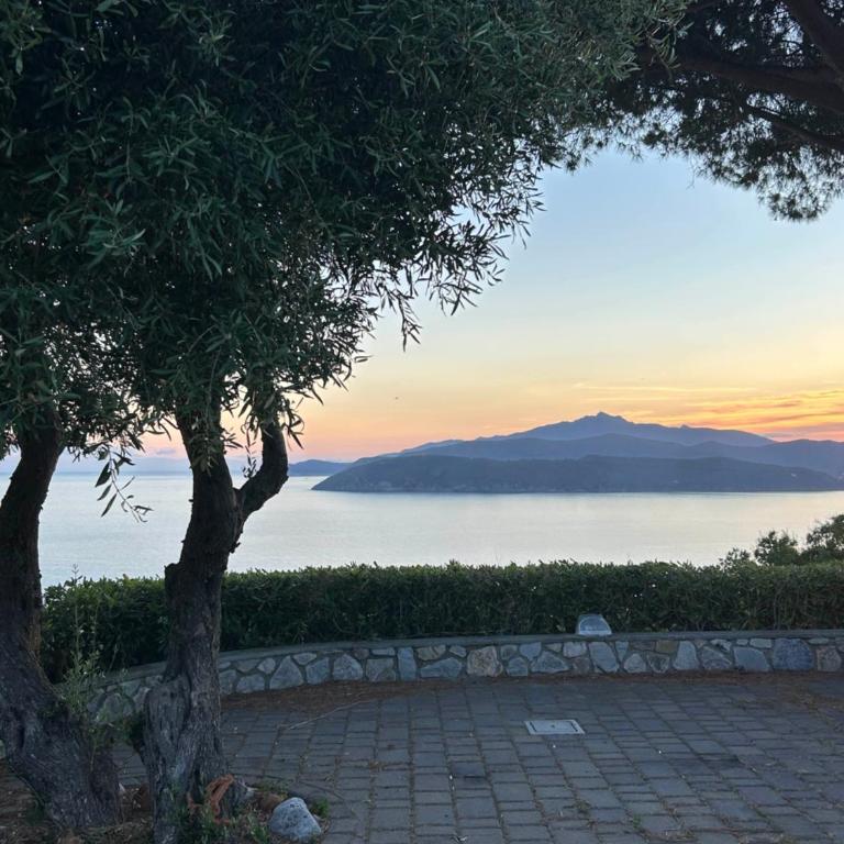 Appartamenti Claudia Capoliveri - Appartamento con Vista Mare - 18