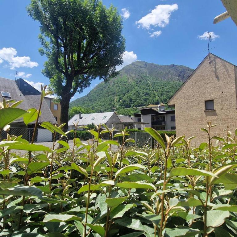 Appartement 4 pers. Saint-Lary, Proche centre, WIFI - FR-1-296-288 - Appartement (4 Adultes) - 16
