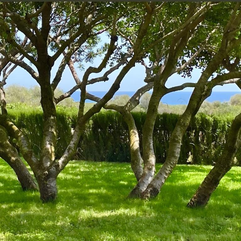 Angolo di paradiso - Appartamento Monolocale con Vista Mare - 2