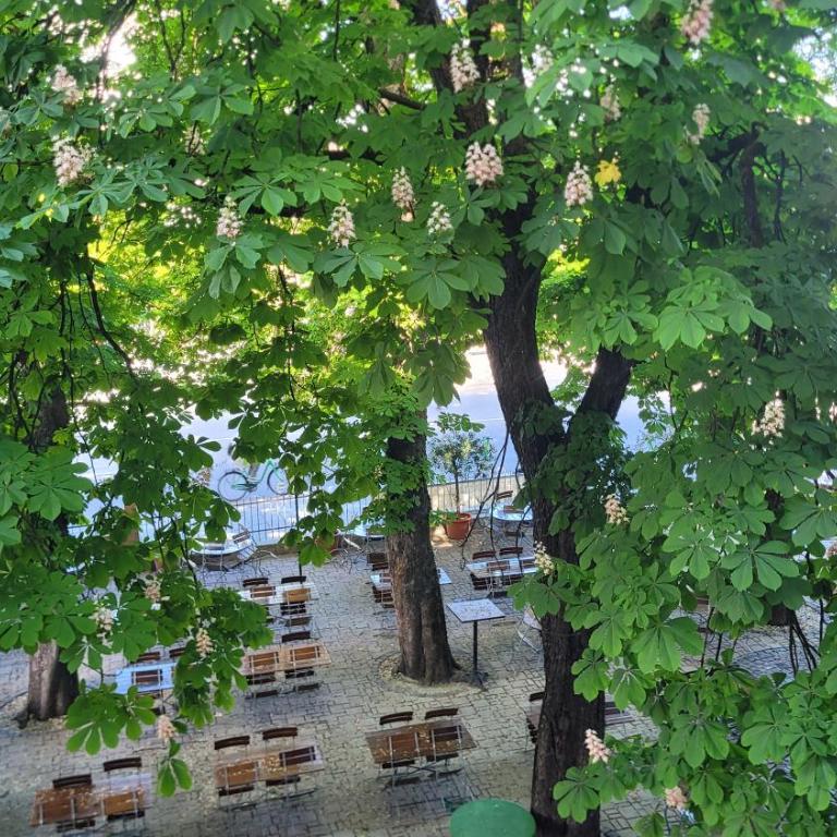 Luxury apartment in central Munich localtion - Appartamento con 2 Camere da Letto e Vista Città - 26