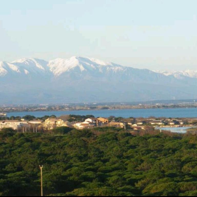 117, Le Barcarès, vue mer et Canigou - Appartement 2 Chambres - 5