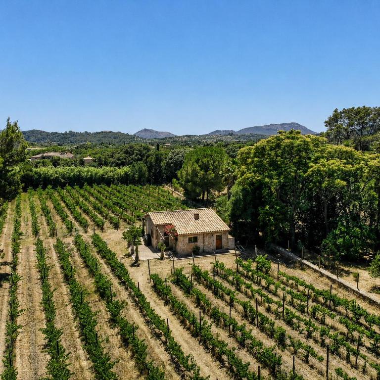 289 Can Bregat by Mallorca Charme - Casa - 22