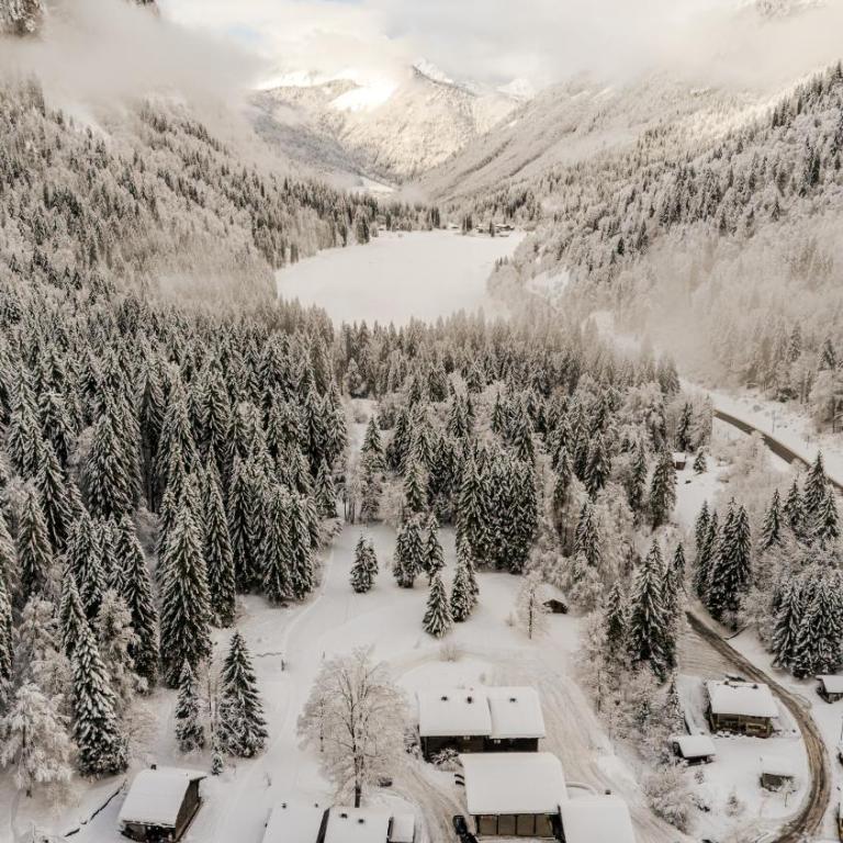 Chalet Truman near Lac de Montriond & Ardent Lift - Chalet - 1