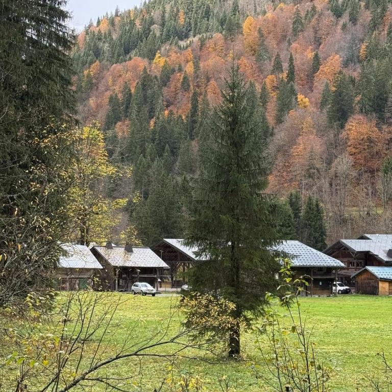 Chalet Truman near Lac de Montriond & Ardent Lift - Chalet - 22