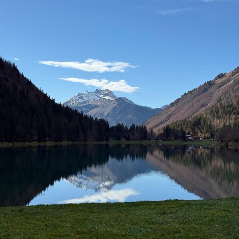 Chalet Truman near Lac de Montriond & Ardent Lift - Chalet - 28