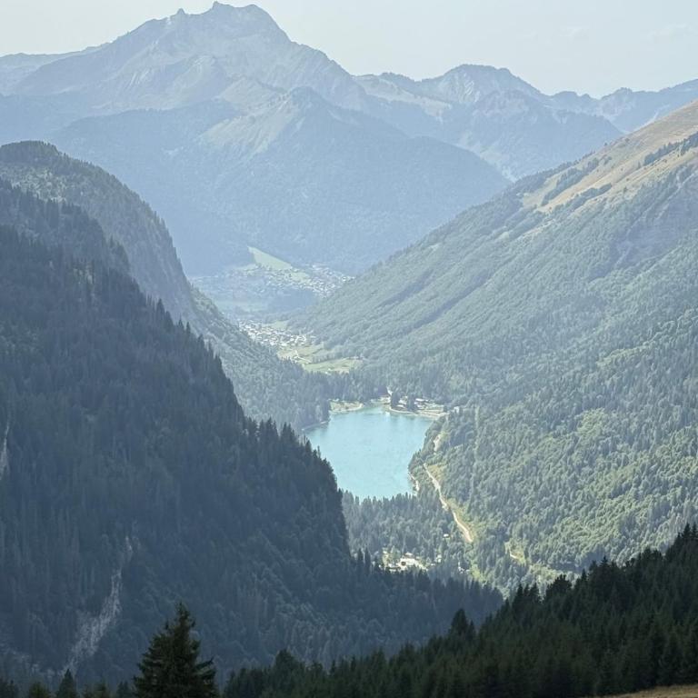 Chalet Truman near Lac de Montriond & Ardent Lift - Chalet - 51
