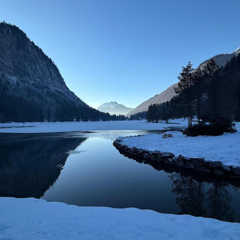 Chalet Truman near Lac de Montriond & Ardent Lift - Chalet - 55