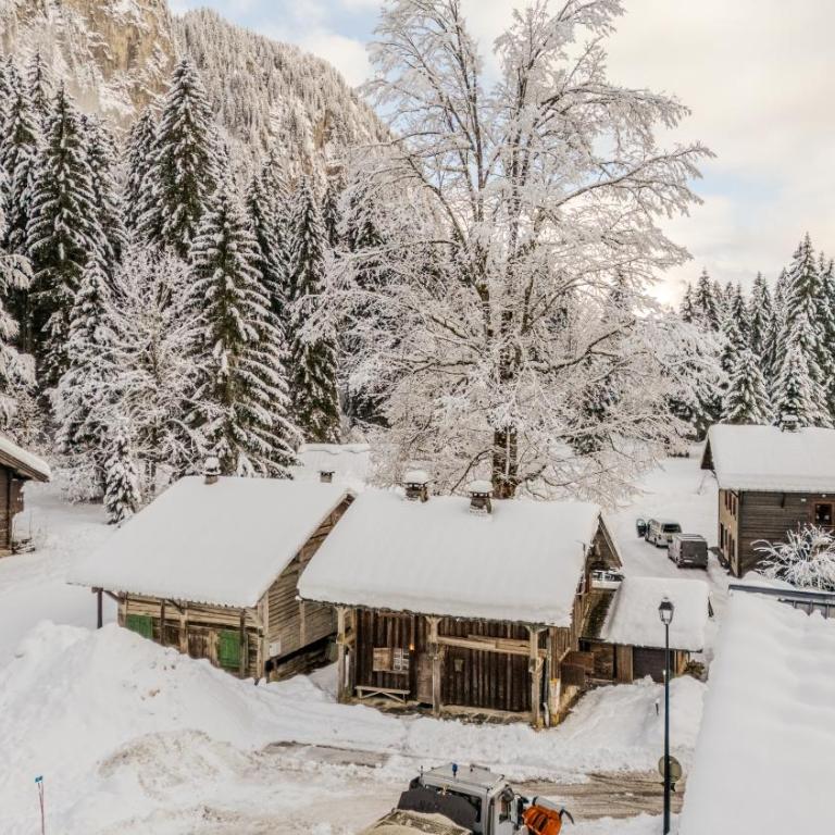 Chalet Truman near Lac de Montriond & Ardent Lift - Chalet - 60