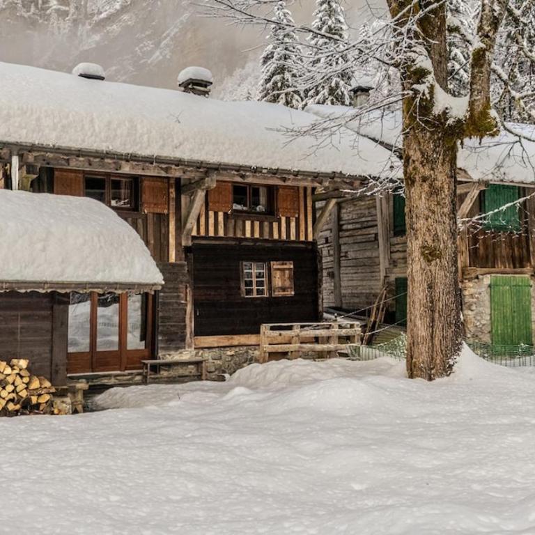 Chalet Truman near Lac de Montriond & Ardent Lift - Chalet - 8