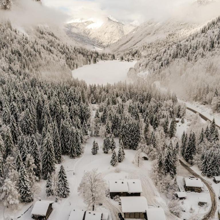 Chalet Truman near Lac de Montriond & Ardent Lift - Chalet - 7
