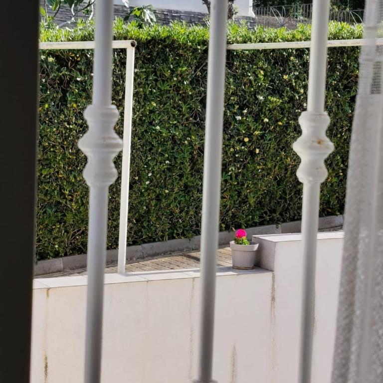La Casa sul Mare - Veliero - Appartamento con 1 Camera da Letto - 6