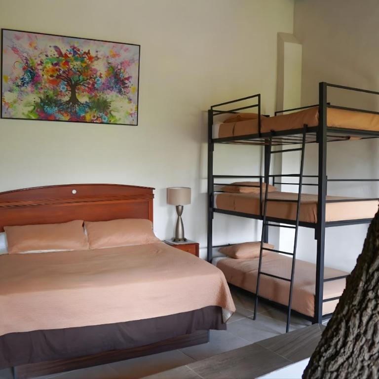 Campestre La Fuente - Habitación Familiar adaptada para personas de movilidad reducida - 6