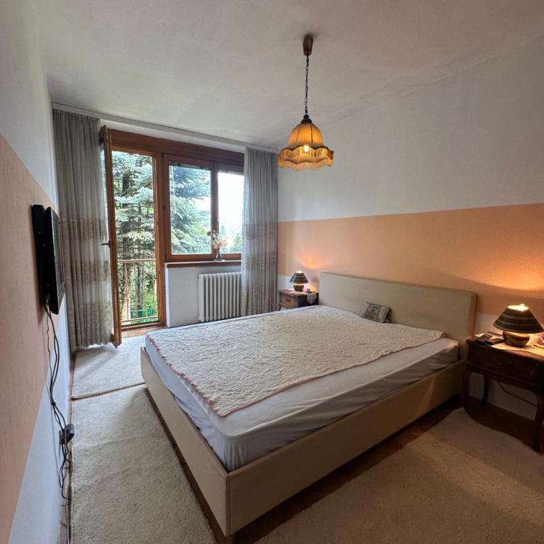 Ciglane Family Apartment Sarajevo - Apartman sa 1 Spavaćom Sobom - 12